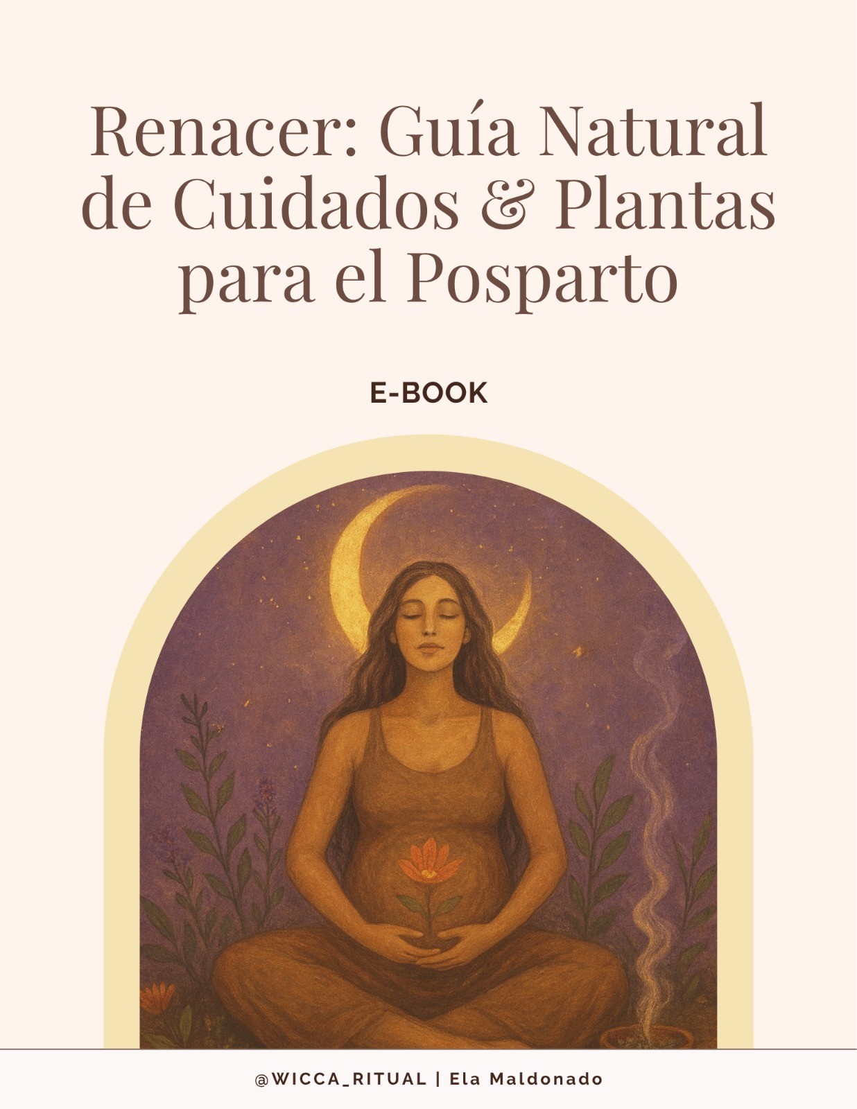 Portada del eBook Renacer