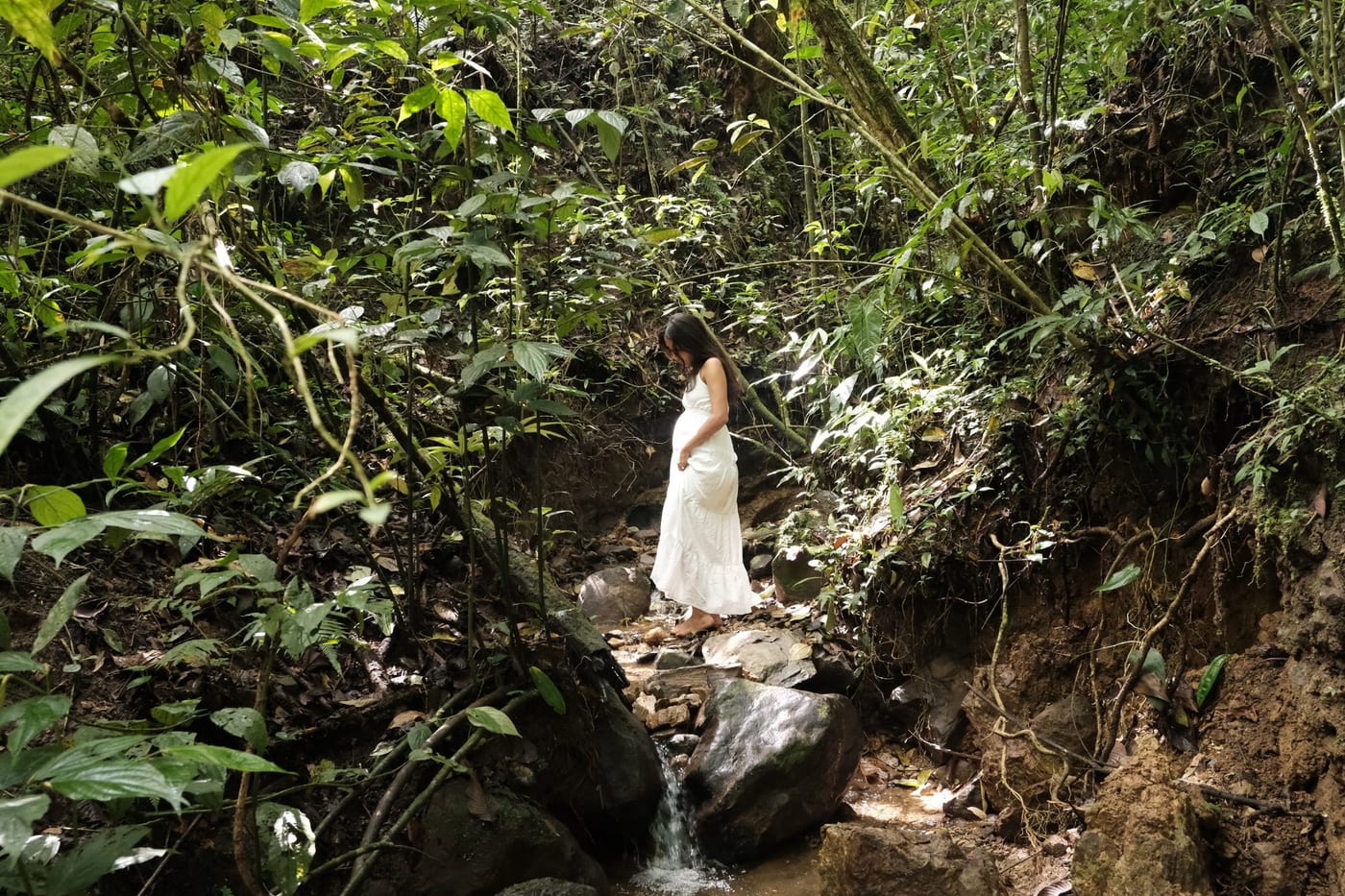 Mujer embarazada caminando en el bosque, Portal de Luz