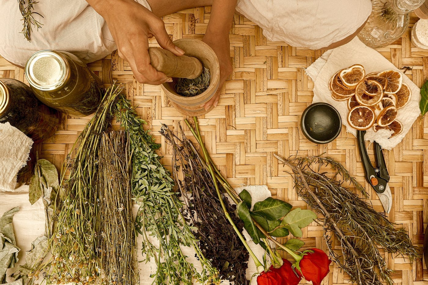 Plantas medicinales, frascos y utensilios dispuestos para una preparación herbal