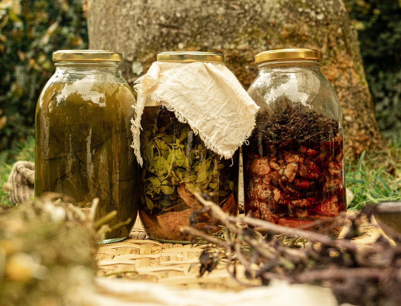 Tinturas y preparaciones herbales en frascos de vidrio